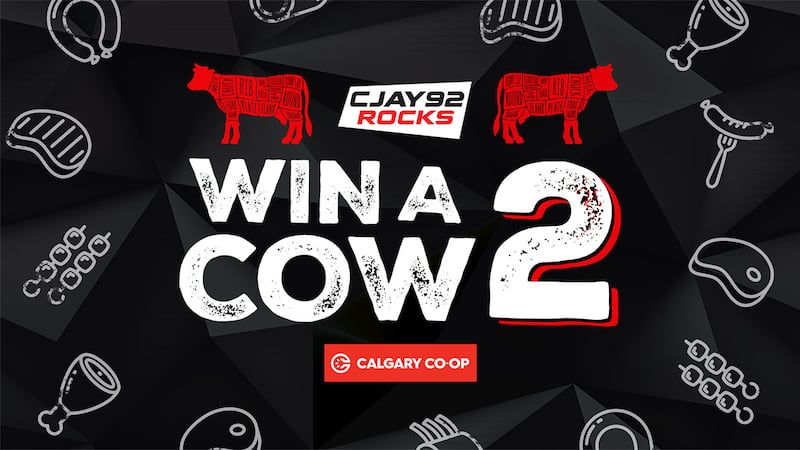 Win a Cow 2