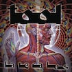 Schism by TOOL
