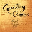 Mr. Jones by Counting Crows
