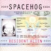 In the Meantime by Spacehog